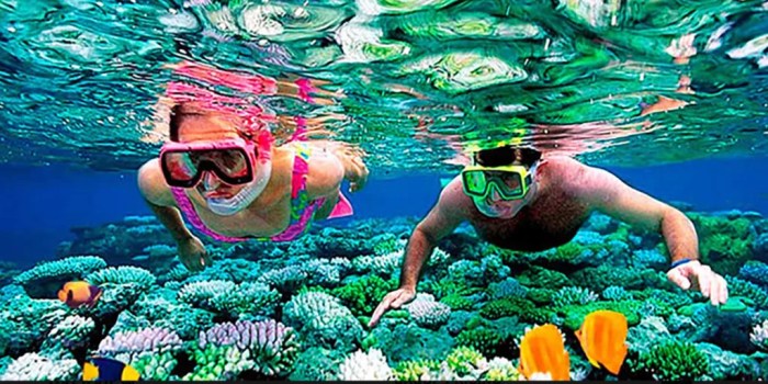 Trip Snorkeling