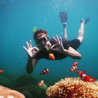 Trip Snorkeling