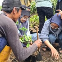 Sekolah California Tanam Pohon Bulan Dukung Pendidikan Sains dan Konservasi