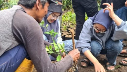 Sekolah California Tanam Pohon Bulan Dukung Pendidikan Sains dan Konservasi
