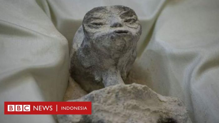 UFO: NASA rilis laporan keberadaan alien, bagaimana faktanya? - BBC ... Ilmu Astrobiologi: Apakah Alien Itu Nyata?