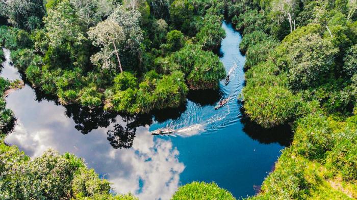 Hutan Yang Ada Di Indonesia - Homecare24 Jelajah Hutan Tropis di Indonesia