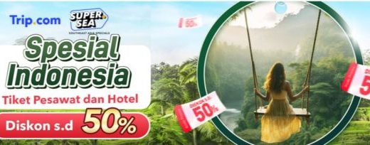 Aplikasi Travel Terbaik untuk Trip Terorganisir