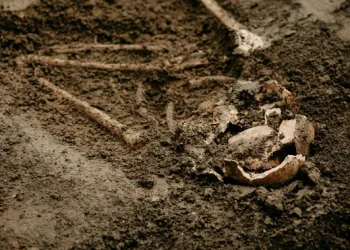 Warga Temukan Makam Berusia 7000 Tahun Saat Ingin Bangun Sekolah Dasar