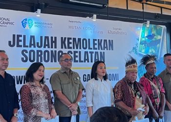 Eksplorasi Sorong Selatan, Menyusuri Keindahan Alam dan Kuliner Hutan
