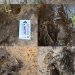 Jejak Kaki Dinosaurus Pemakan Daging Berusia 120 Juta Tahun Ditemukan di Thailand