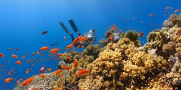 Penyelam Temukan Desa Hilang Abad Pertengahan di Bawah Laut
