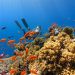 Penyelam Temukan Desa Hilang Abad Pertengahan di Bawah Laut